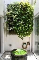 Sembawang Hills Estate (D20), Terrace #454549841